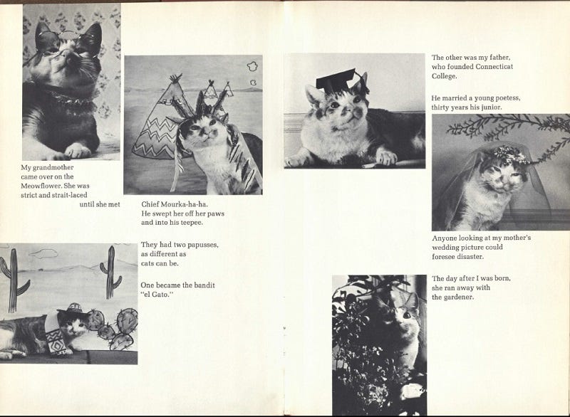 Proto-Internet Kitteh! - Awful Library Books