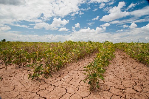 USDA is Acting on Climate and We Have a Plan | USDA