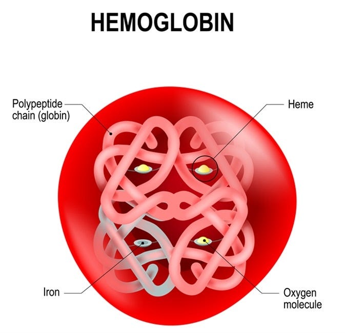 Fetal Hemoglobin