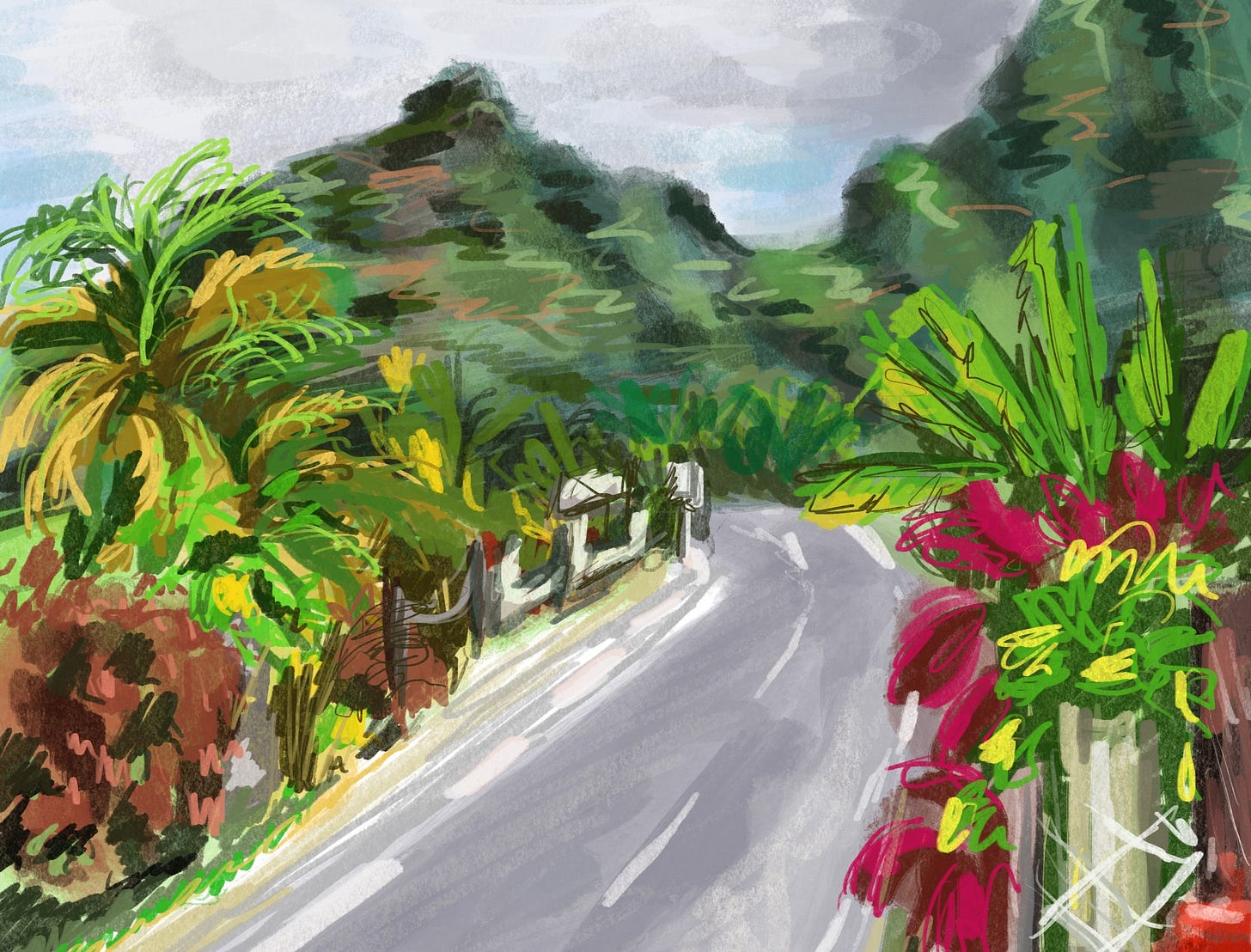 A digital drawing of a road on Mo'orea, French Polynesia