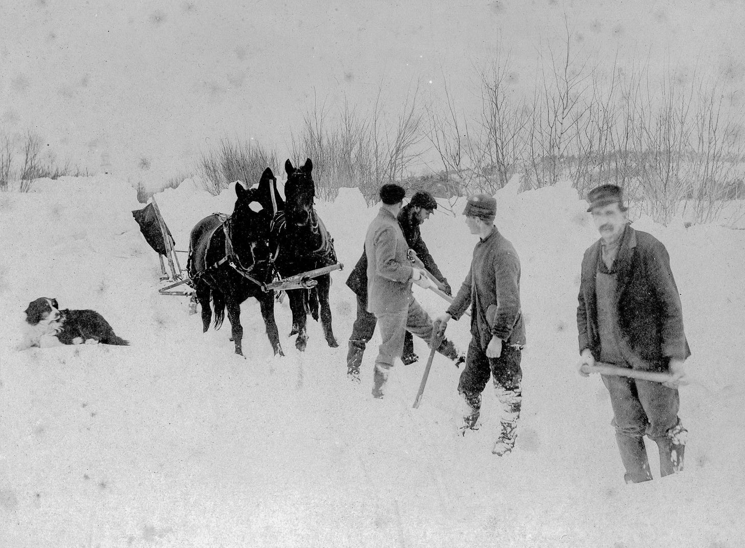 Men, horses and a dog in a snow storm