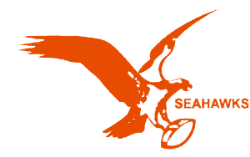 Miami Seahawk's Logo