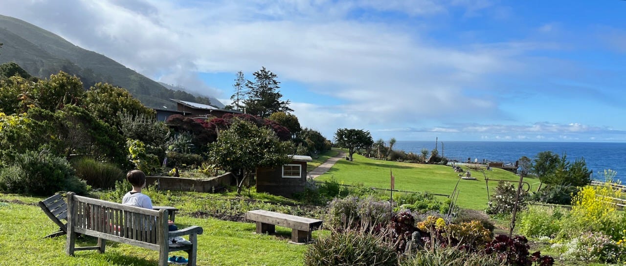 The view from a bench at Esalen