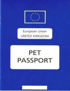 Does Britain Leaving the EU Affect Pet Owners? | PetSci