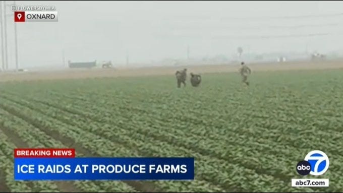The President’s statements follow immigration raids of some California farms The President’s statements follow immigration raids of some California farms