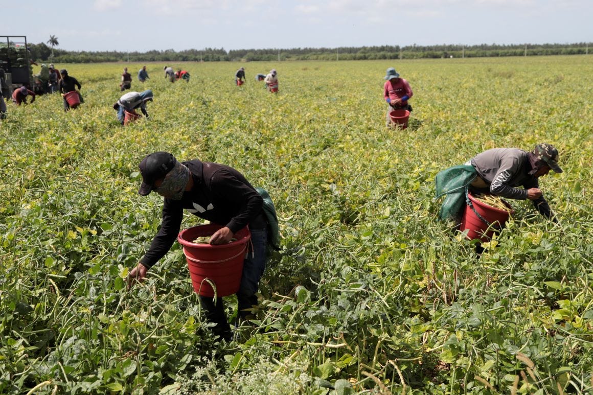 Florida failed to secure supplies for ill farmworkers — then Fried blamed  DeSantis - POLITICO