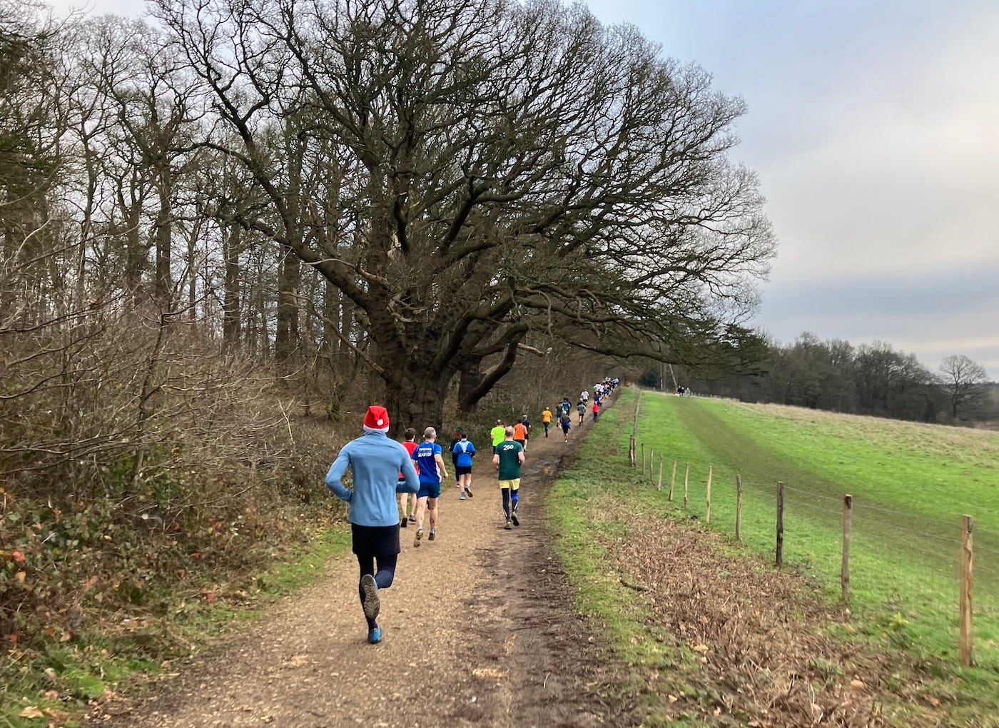 Runners, some in Christmas hat, on a stony path with a field on one side, trees the other