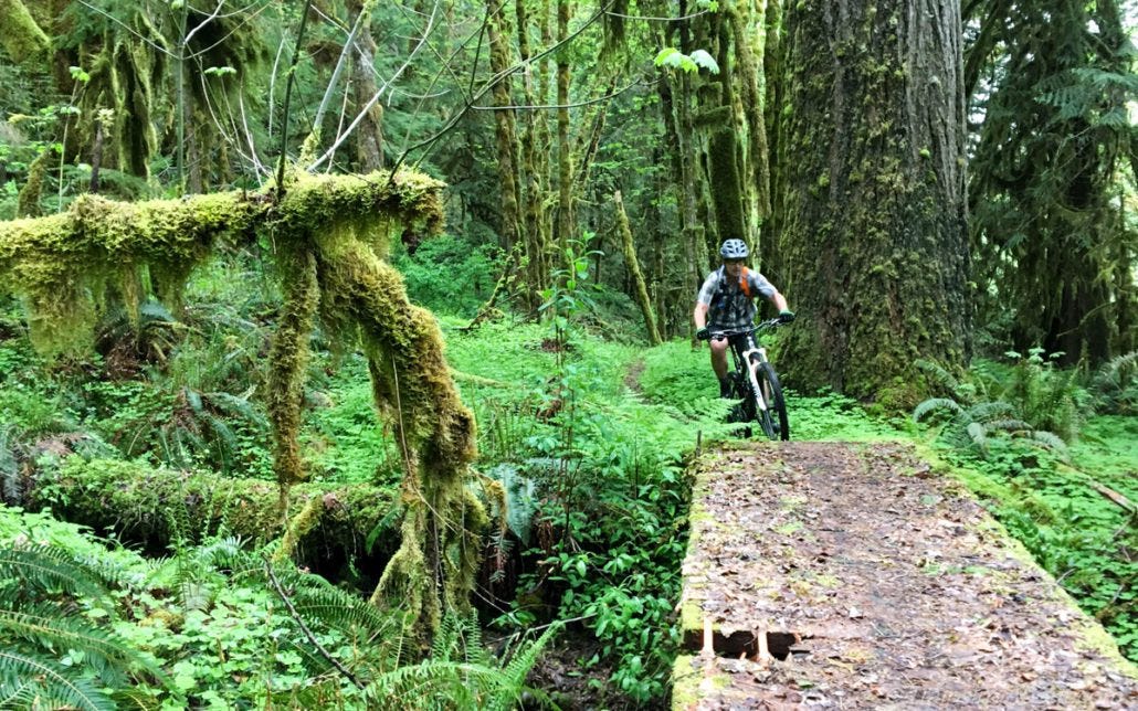 Gabe on Salmon Creek Trail.