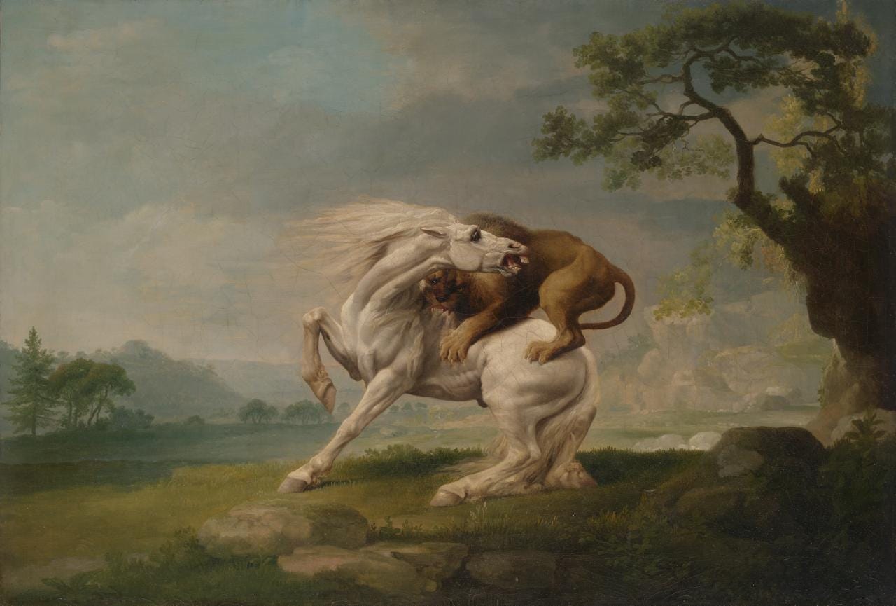 A lion attacking a horse