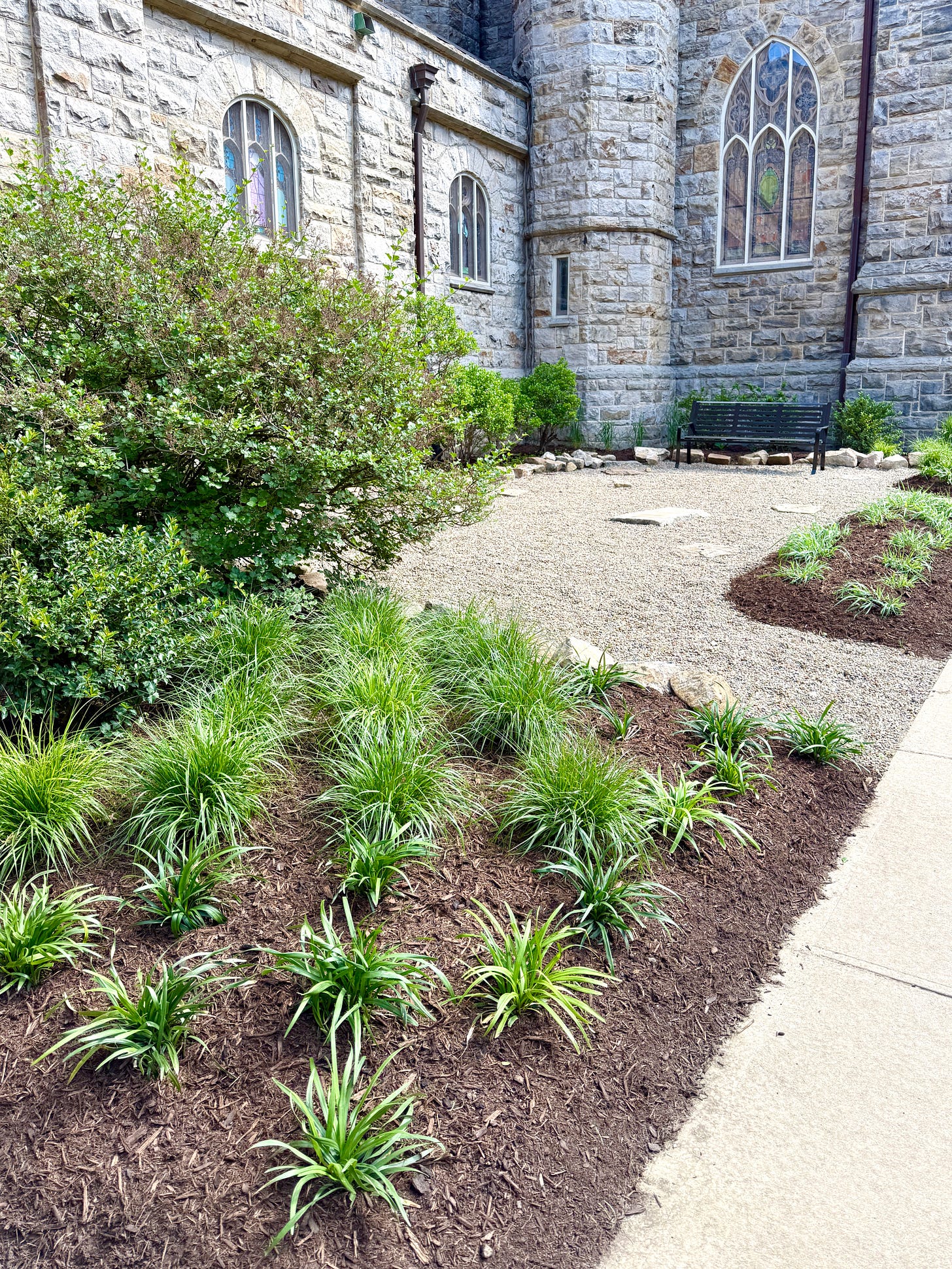 The stain glass windows are prominent features in this garden, and provide for focal points along the wall. Fountain grass (Pennisetum) and Liriope provide a calm green foreground, and move into taller grasses, Panicum and Calamagrotis, further back in the design. The stain glass windows are prominent features in this garden, and provide for focal points along the wall. Fountain grass (Pennisetum) and Liriope provide a calm green foreground, and move into taller grasses, Panicum and Calamagrotis, further back in the design.