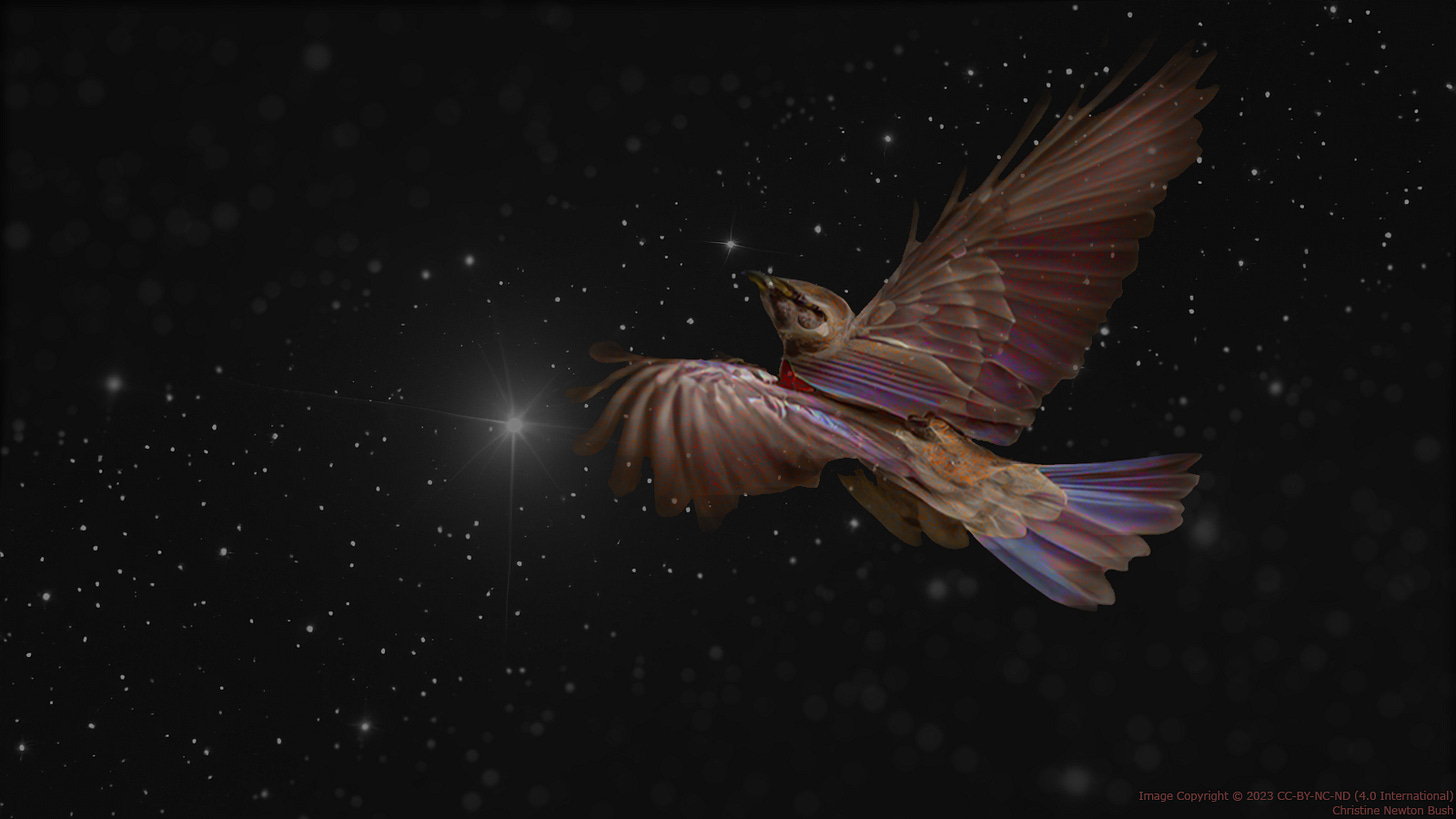A mystical brightly colored bird figure flies towards a band of stars.
