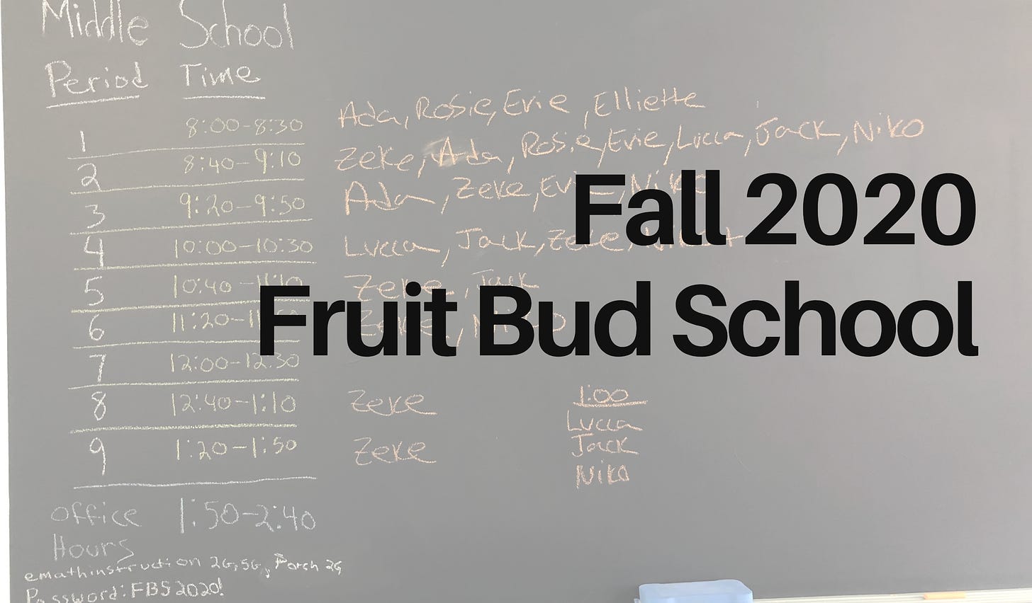 Fall 2020, Fruit Bud School