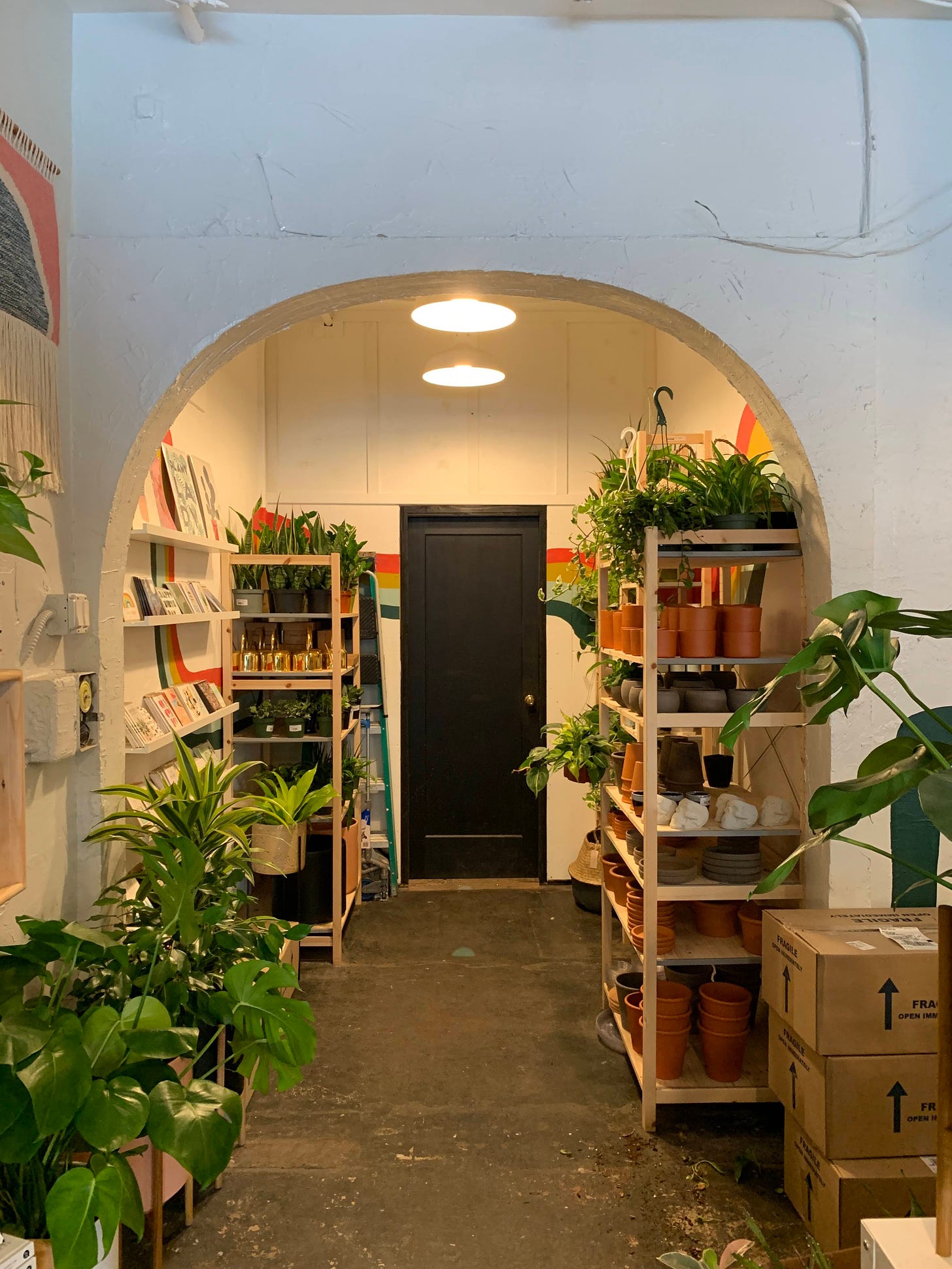 plant shop with overhead interior lighting