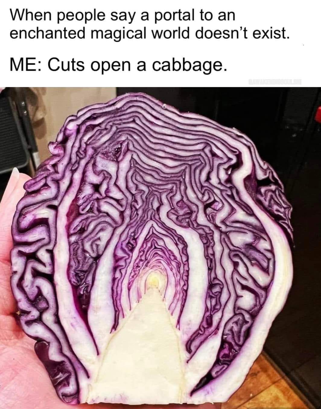 May be an image of text that says 'When people say a portal to an enchanted magical world doesn't exist. ME: Cuts open a cabbage.'