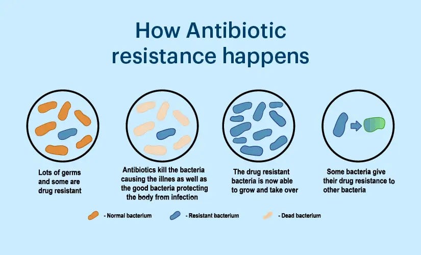Antibiotic Resistance: What Is It, Complications and How to Prevent