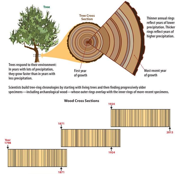 Tree-Ring Dating - Visualizing ArchaeologyVisualizing Archaeology