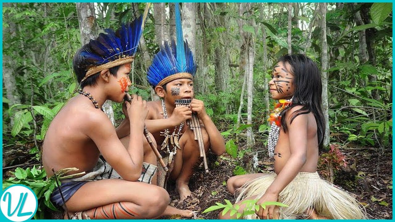 This Is How Tribes In The Amazon Rainforest Live! - YouTube