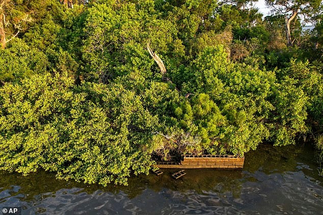 Sweetheart Island, off the coast of Yankeetown, Florida, is seen on Aug. 5, 2023