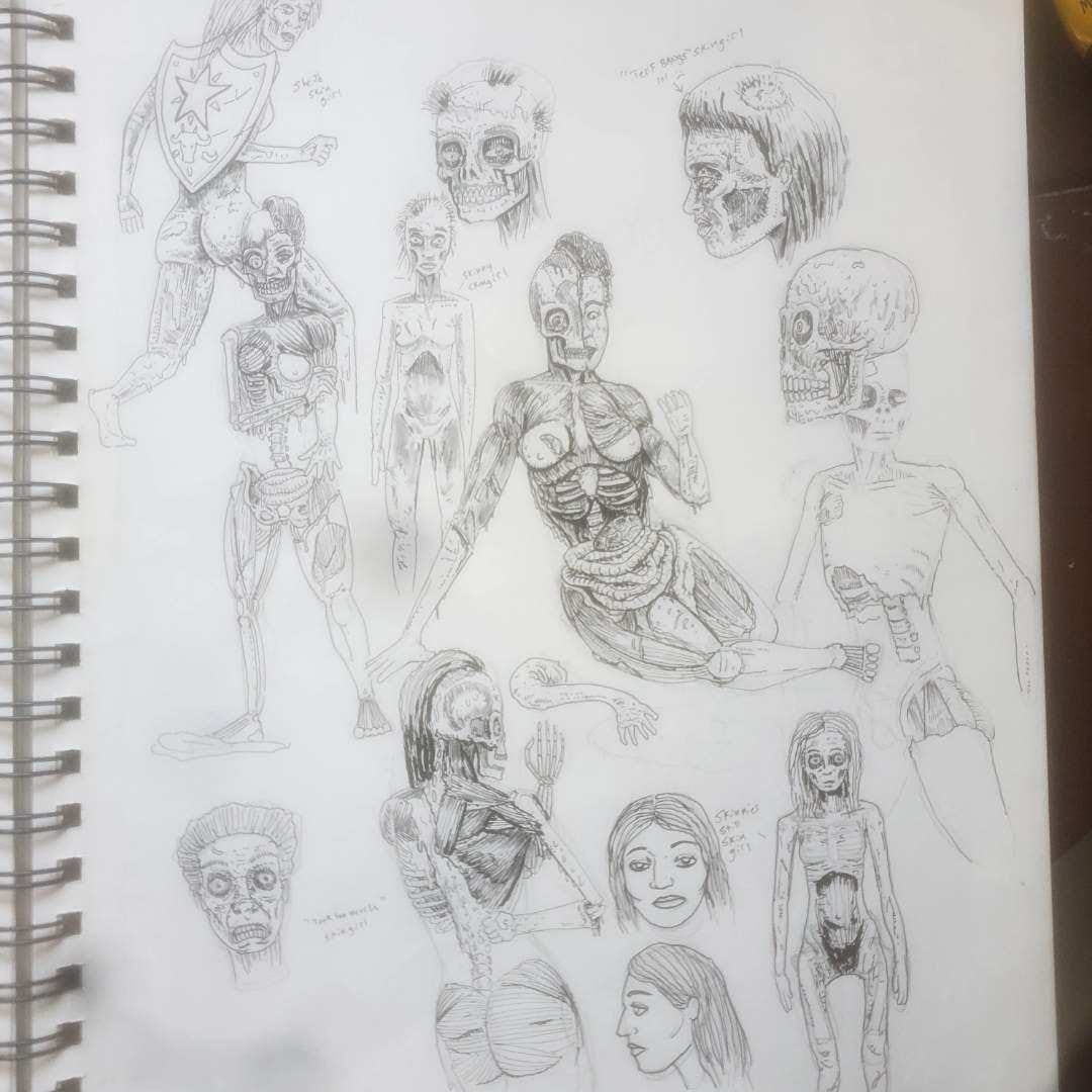 many different pencil sketches of skin girl. Various poses and states of decay and anatomical detail.