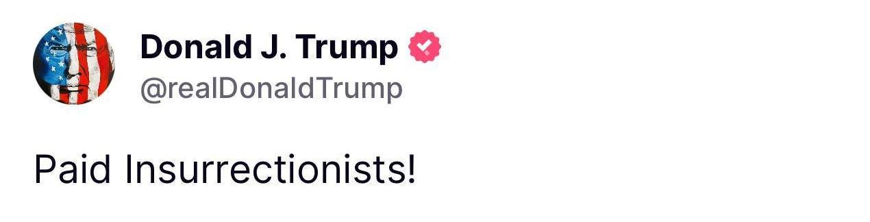 May be an image of text that says 'Donald J. Trump @realDonaldTrump Paid Insurrectionists!'