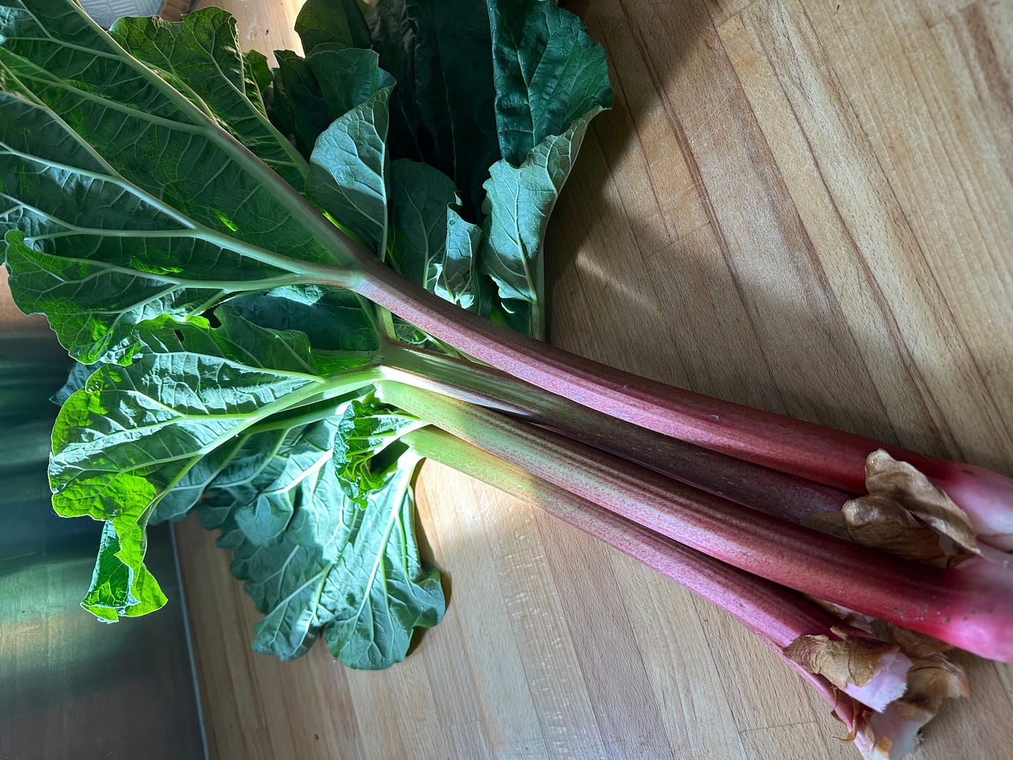 Freshly picked rhubarb on kitchen worksurface