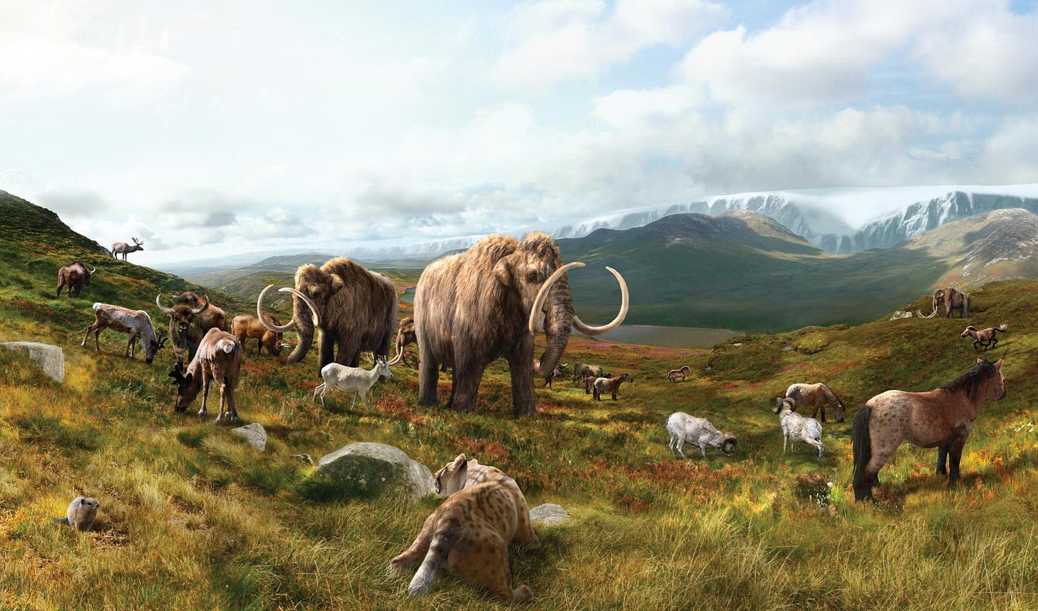 Ancient DNA Discovery Reveals Woolly Mammoths, Wild Horses Survived Thousands of Years Longer Than Believed Ancient DNA Discovery Reveals Woolly Mammoths, Wild Horses Survived Thousands of Years Longer Than Believed
