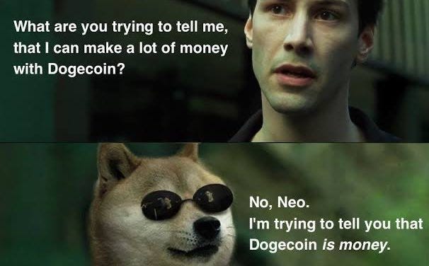 Elon Musk Shares 'Dogecoin Is Money' Meme, DOGE Shows Signs of Recovery –  Fintechs.fi