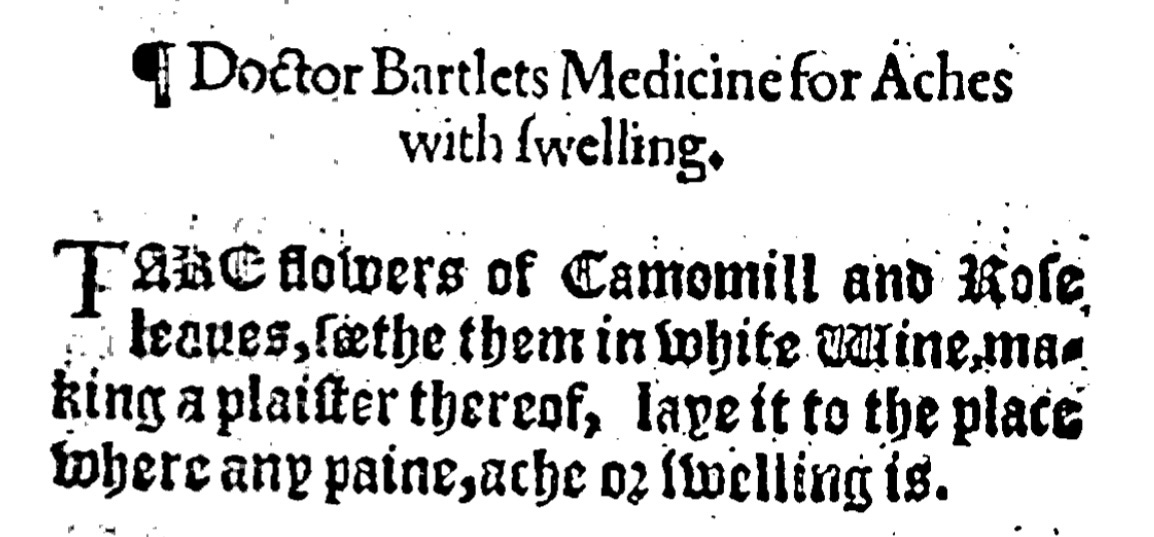 Doctor Bartlett’s Medicine for Aches with swelling  Take flowers of Camomil and Rose leaves, seethe them in white Wine, making a plaster thereof, laye it to to the place where any Paine, ache or swelling is.