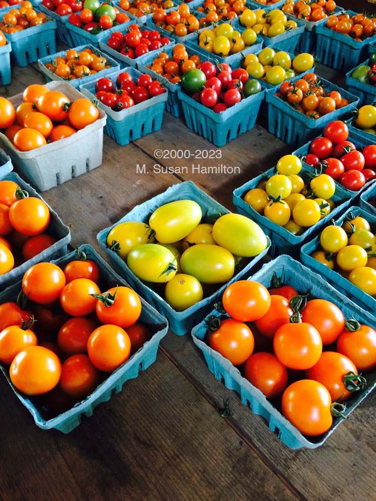 Photo of farm fresh cherry tomatoes