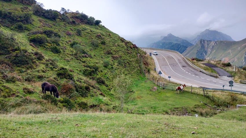 Prado en el puerto de Pajares, Asturias