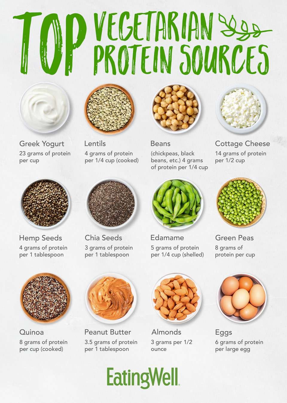 Top Vegetarian Protein Sources
