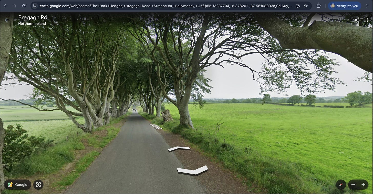 dark hedges