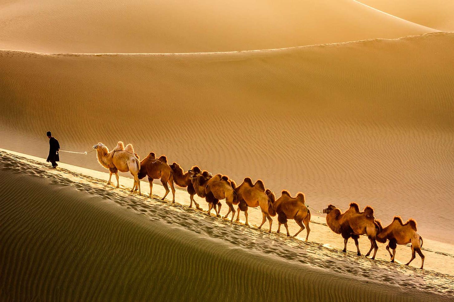 What Is the Ancient Silk Road?