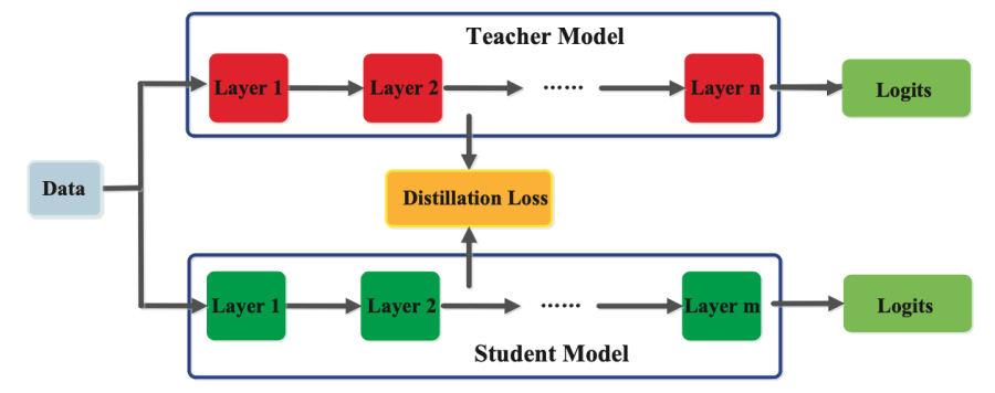 Knowledge Distillation: Principles, Algorithms, Applications