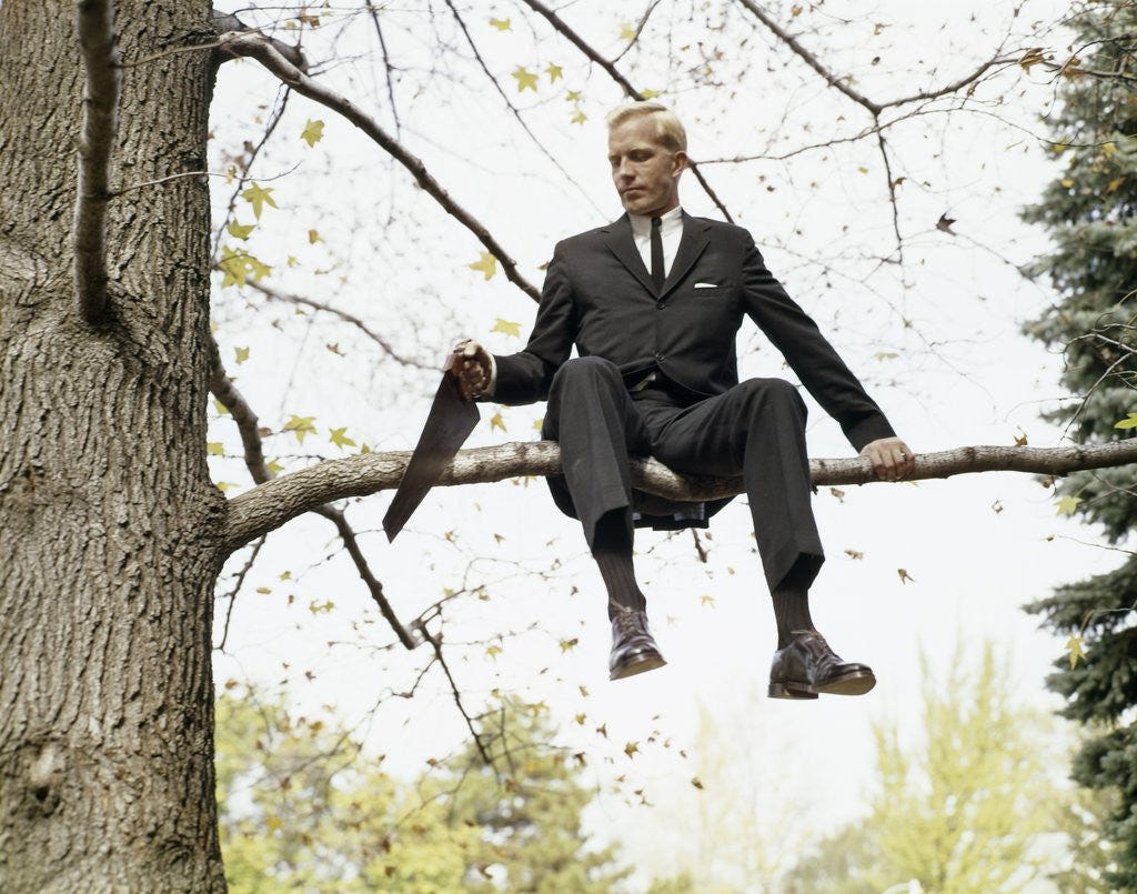 1960s Man In Tree Sawing Off The Branch He Is Sitting On posters & prints by Corbis