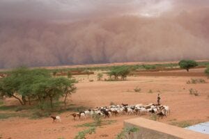 Intense dust storms, such as this haboob in Mali, proceed torrential rain in the Sahel.