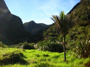 Pararaha Valley as the sun rises over the hills