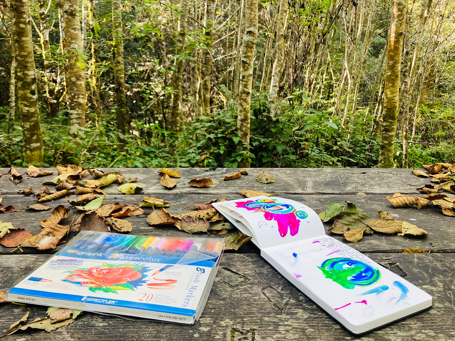 photo of channeled art making notebook and markers on picnic table at headwaters forest in northern california humboldt county