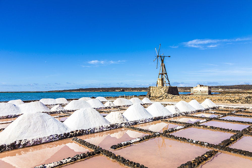 The Salinas de Janubio in Lanzarote, showcasing mounds of harvested sea salt in the foreground with water-filled salt pans varying in color from pink to sandy beige. A traditional windmill stands in the background under a clear blue sky.