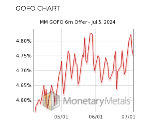 GOFO 6 months (1)