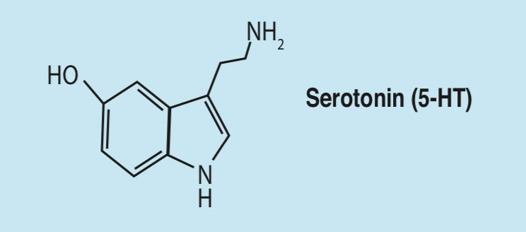 Ask a Professor: What does serotonin do? | Colgate Magazine
