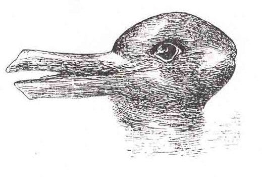 original image of duck or a rabbit
