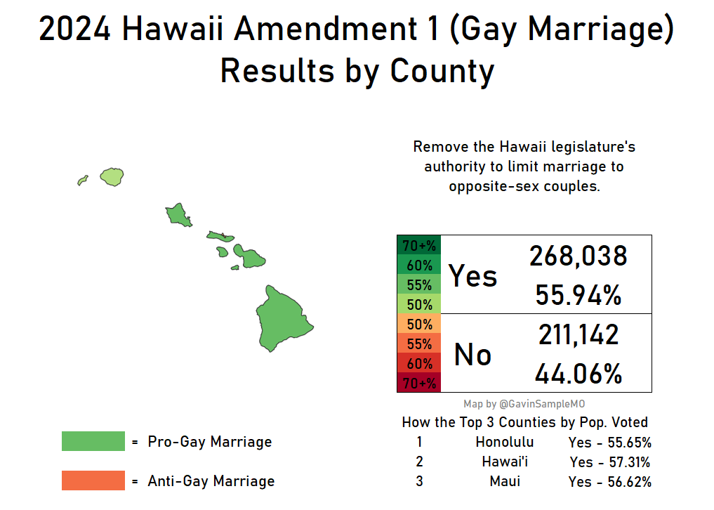 2024 hawaii amendment 1 gay marriage gavin sample