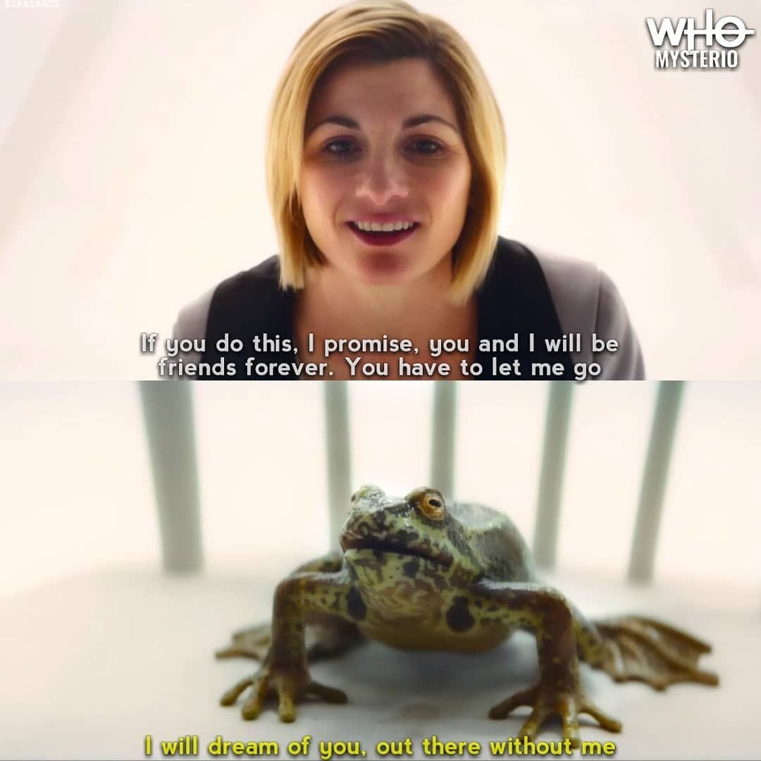 This collage shows, in its top half, the Thirteenth Doctor (played by Jodie Whittaker) talking to, in the bottom half, the Solitract (a sentient universe that's taken the shape of a green frog sitting on a white, wooden chair) at the climax of "It Takes You Away" (Doctor Who Series 11's ninth episode). The Doctor's dialogue ("If you do this, I promise, you and I will be friends forever. You have to let me go") appear in white letters over her upper chest, while the Solitract's dialogue ("I will dream of you, out there without me") appear in yellow letters just below the frog's front two feet. This collage shows, in its top half, the Thirteenth Doctor (played by Jodie Whittaker) talking to, in the bottom half, the Solitract (a sentient universe that's taken the shape of a green frog sitting on a white, wooden chair) at the climax of "It Takes You Away" (Doctor Who Series 11's ninth episode). The Doctor's dialogue ("If you do this, I promise, you and I will be friends forever. You have to let me go") appear in white letters over her upper chest, while the Solitract's dialogue ("I will dream of you, out there without me") appear in yellow letters just below the frog's front two feet.