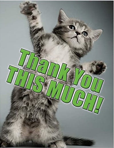 A cat stood on its hind legs, front paws in the air stretched out to either side. Text reads “Thank You THIS MUCH!”