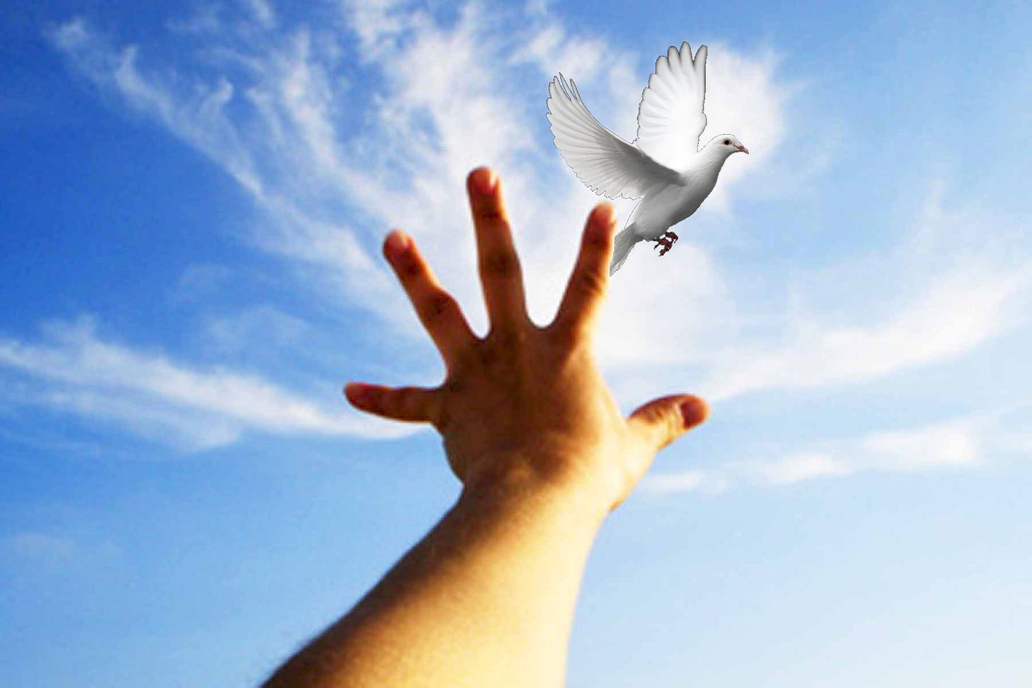 Reaching-toward-dove.jpg