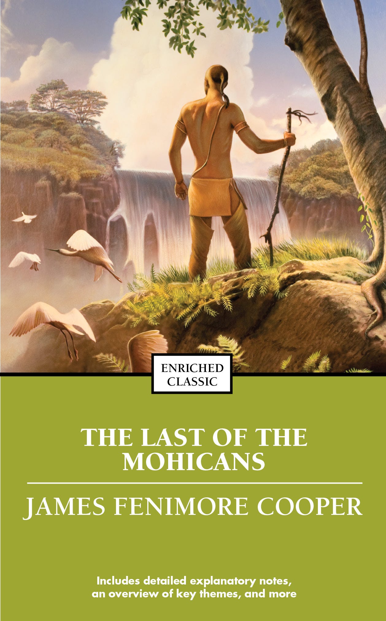 The Last of the Mohicans | Book by James Fenimore Cooper | Official  Publisher Page | Simon & Schuster