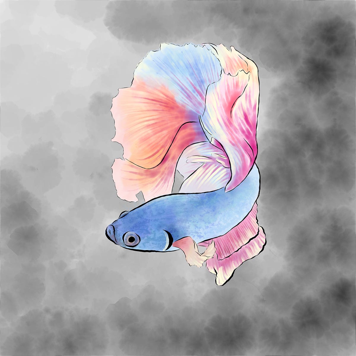 Digital watercolour painting of a light blue Siamese fighting fish with fins of pale orange, pink, blue and yellow swimming against a murky light grey background.