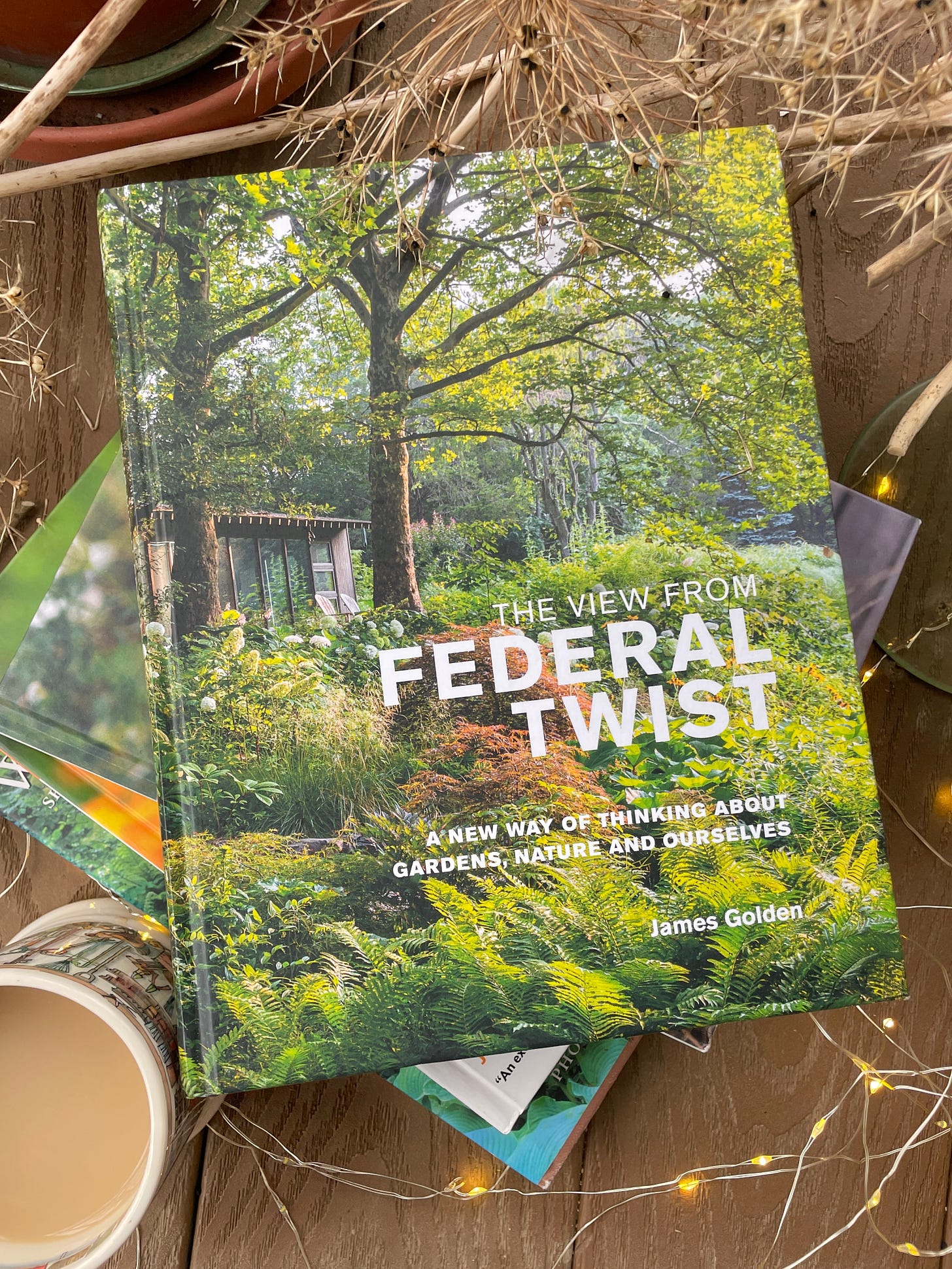 The View from Federal Twist by James Golden