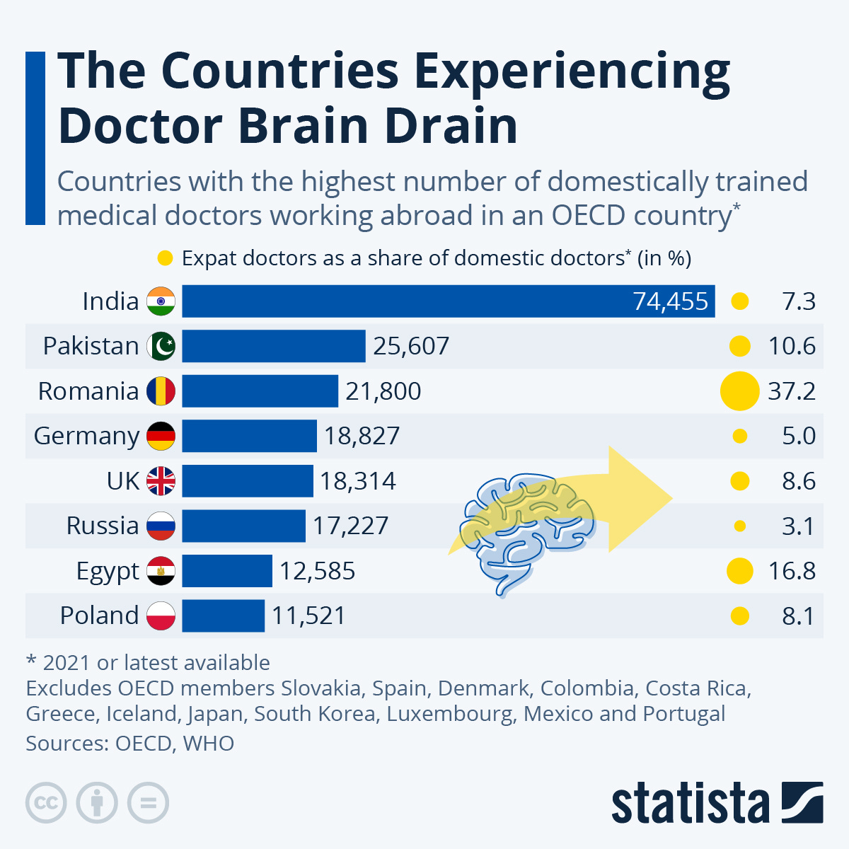 Infographic: The Countries Experiencing Doctor Brain Drain | Statista